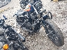 1HD1LP311LB****** Salvage and Wrecked 2020 Harley-Davidson Iron 1200 in Rec Rides Online Exclusive