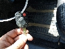 3FAHP0JA2CR****** Salvamento 2012 Ford Fusion en Estado de Massachusetts