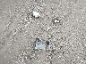 1FMCU0D72CK****** Destrozados 2012 Ford Escape en Estado de Ohio