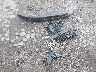 3VWDZ7AJ9BM****** Wrecked 2011 Volkswagen Jetta in Massachusetts State