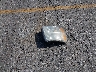 1GCSCSE01AZ****** Wrecked 2010 Chevrolet Silverado 1500 in California State