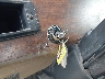2NPNHD7X2YM****** Repairable 2000 Peterbilt 330 in Erie