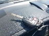 4T1BF1FK1DU****** Salvage 2013 Toyota Camry in California State
