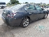 1N4AA5APXDC****** Salvage and Wrecked 2013 Nissan Maxima in Texas State