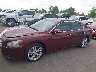1N4AA5APXDC****** Used and Repairable 2013 Nissan Maxima in Denver East
