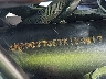 JH2SC8755TK****** Reparables 2026 Honda Cmx1100 en Jacksonville (Pecan Park)