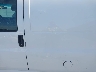 1GCSGAF40D1****** Salvage and Repairable 2013 Chevrolet Express in California State