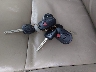 5TDBY68A98S****** Salvage 2008 Toyota Sequoia in Kentucky State