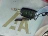 5XYPG4A54GG****** Salvage 2016 Kia Sorento in Florida State