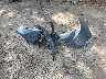5YFEPMAEXNP****** Wrecked 2022 Toyota Corolla in Virginia State