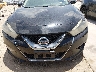 1N4AA6AP5GC****** Destrozados 2016 Nissan Maxima en Estado de Texas