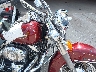 1HD1BW5158Y****** Repairable 2008 Harley-Davidson Heritage Softail Classic in Florida State