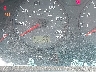 JF1SF635X2H****** Salvamento y Destrozados 2002 Subaru Forester en East Bay