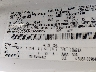 1FMCU0G72GU****** Usados 2016 Ford Escape en Concord