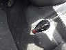 1D7RB1CT0AS****** Salvamento 2010 Dodge Ram 1500 en Estado de Texas