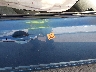 1HGFA16559L****** Used and Repairable 2009 Honda Civic in Texas State