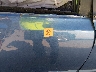 1HGFA16559L****** Wrecked 2009 Honda Civic in Dallas-Fort Worth