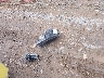 1G1FA1RX8G0****** Destrozados 2016 Chevrolet Camaro en Estado de Carolina del Norte