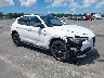 ZASPAJAN9K7****** Salvage and Wrecked 2019 Alfa Romeo Stelvio in Clearwater