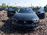 1HGCY1F49SA****** Salvage and Repairable 2025 Honda Accord in Ohio State