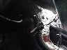JTHBA30G365****** Salvage 2006 Lexus ES in Texas State