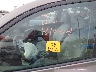 2T3YK4DV5BW****** Reparables 2011 Toyota RAV4