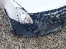 1G6DG5E5XC0****** Salvamento y Destrozados 2012 Cadillac CTS en Dayton