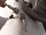 1FTZX18W1WK****** Salvage 1998 Ford F-150 in Utah State
