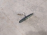 1FTZX18W1WK****** Wrecked 1998 Ford F-150 in Utah State