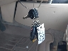 1GKFK36319R****** Salvage 2009 GMC Yukon XL in Maryland State
