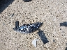 1FMCU0HD3JU****** Wrecked 2018 Ford Escape in Florida State