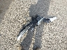 JM3KFBDM5M0****** Wrecked 2021 Mazda CX-5 in California State