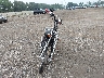 1HD1BTY17YY****** Used and Repairable 2000 Harley-Davidson Night Train in Ohio State