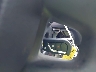 2T3G1RFV5SC****** Salvamento 2025 Toyota RAV4 en Estado de Carolina del Norte