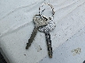 JT3HN87R8W0****** Salvage 1998 Toyota 4Runner in Washington State