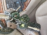 SAJDA42B72P****** Salvage 2002 Jaguar XK-Series in Texas State