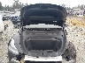 7SAYGAEE6RF****** Reparables 2024 Tesla Model Y en IAA Puyallup