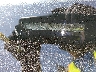 5TDZK23C68S****** Salvage 2008 Toyota Sienna in New York State