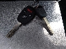 19XFB2F96DE****** Salvamento 2013 Honda Civic en Estado de Ohio