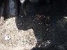 3FA6P0HD6GR****** Salvamento 2016 Ford Fusion