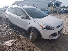 1FMCU9J92DU****** Salvamento y Destrozados 2013 Ford Escape en York Springs