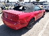 1ZVFT84N775****** Salvamento y Destrozados 2007 Ford Mustang en Estado de California