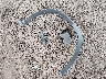 2T2JGMDA8NC****** Wrecked 2022 Lexus RX Hybrid in Arizona State