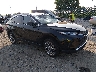 JTEAAAAH0PJ****** Salvage and Wrecked 2023 Toyota Venza in Philadelphia