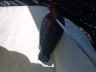 1C3CDFAA1DD****** Salvamento 2013 Dodge Dart en Estado de Arkansas