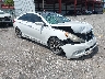 5NPEC4AB3DH****** Salvage and Wrecked 2013 Hyundai Sonata in West Palm Beach
