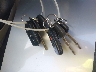 JTEZU14R860****** Salvamento 2006 Toyota 4Runner en Estado de California