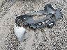 2HKRM3H79EH****** Destrozados 2014 Honda CR-V en Estado de Mississippi