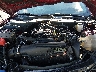 1FA6P8TH1S5****** Reparables 2025 Ford Mustang en Miami North