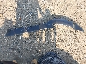 KMHT36AH7NU****** Wrecked 2022 Hyundai Veloster in Virginia State